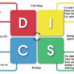 Mô hình DISC giúp phân loại hành vi con người thành bốn nhóm chính.