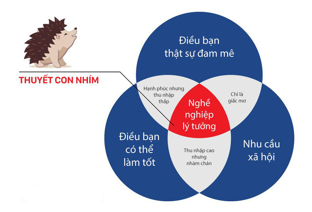 alt text:  Biểu đồ Thuyết Con Nhím trong chọn ngành nghề, thể hiện điểm giao thoa giữa Đam mê, Năng lực và Nhu cầu xã hội