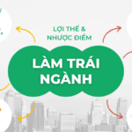 Cẩm nang xin việc trái ngành