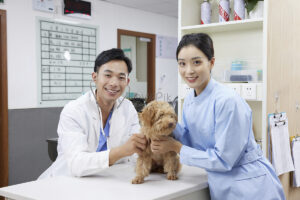 Tổng Hợp Các Khối Thi THPT Và Hướng Nghiệp Tương Ứng Cho Học Sinh