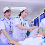 Y Tế Công Cộng: Các Ngành Đào Tạo Và Cơ Hội Việc Làm Sau Khi Ra Trường